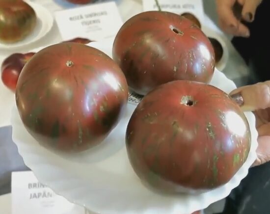 Гном Стринги